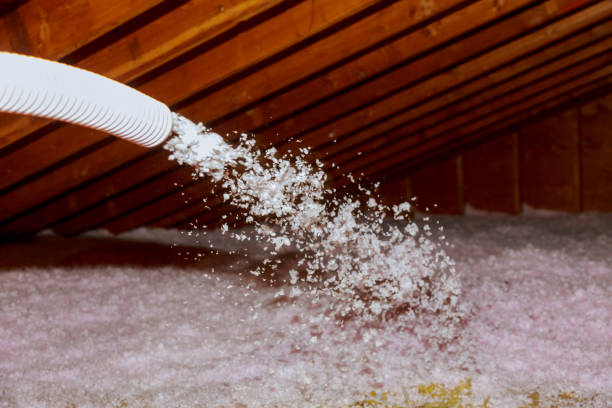 Best Cellulose Insulation in Stoughton, WI