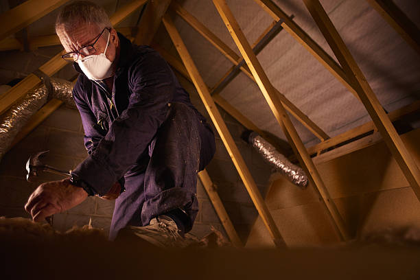 Best Energy Efficiency Insulation in Stoughton, WI