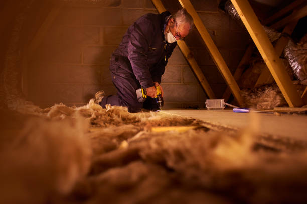 Best Cellulose Insulation in Stoughton, WI